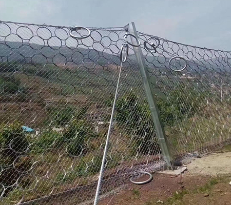 邊坡防護(hù)網(wǎng)廠(chǎng)