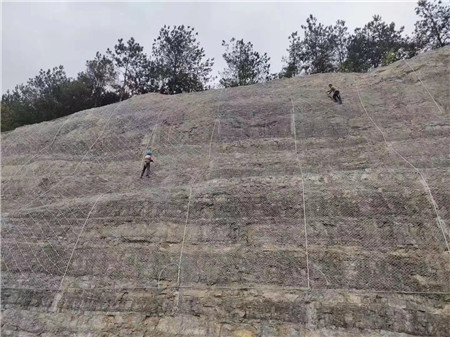 邊坡防護(hù)網(wǎng)